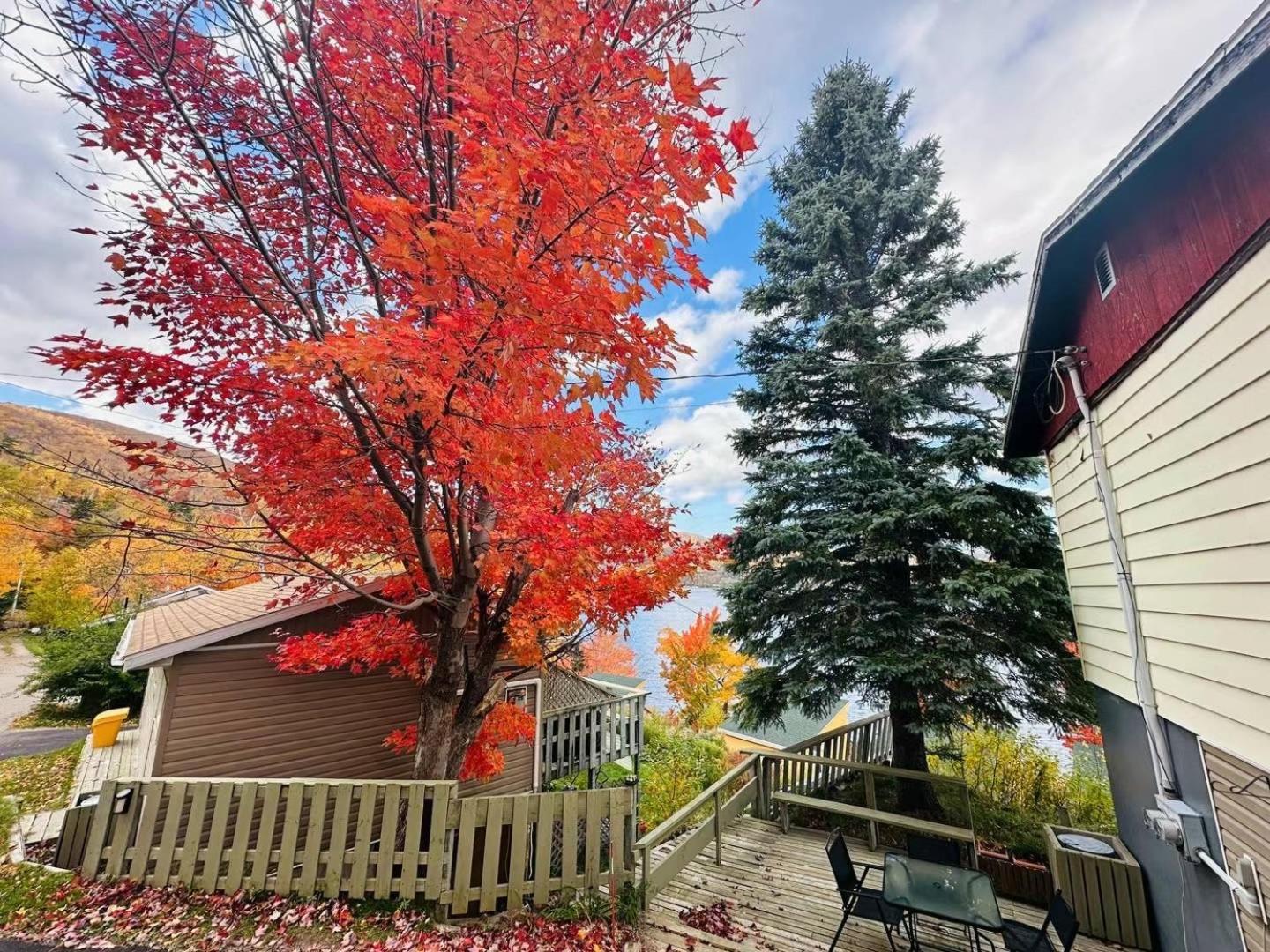 Knotty Pine Cottages, Suites & Motel Rooms Ingonish Dış mekan fotoğraf